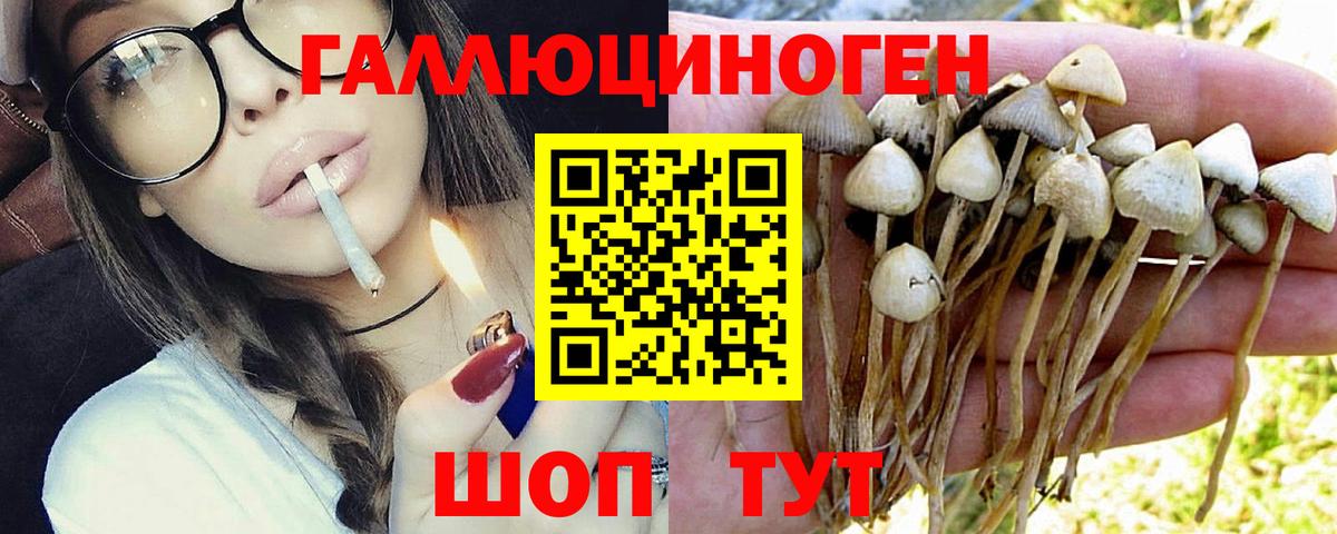 Янаул  Псилоцибиновые грибы Psilocybine cubensis  Вход с VPN 